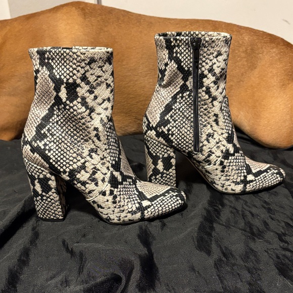 Aldo Black and White Snakeskin Ankle Boots - Picture 1 of 2